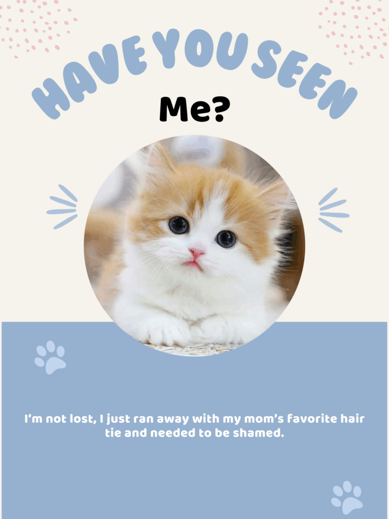 A lost cat sign with an orange and white kitten on it. The text above the kitten says, "Have you seen me?" and the text below says, "I'm not lost; I just ran away with my mom's favorite hair tie and needed to be shamed." Made with a Canva template by Daily Creative "Blue Beige Playful Cute Lost Pet Poster"