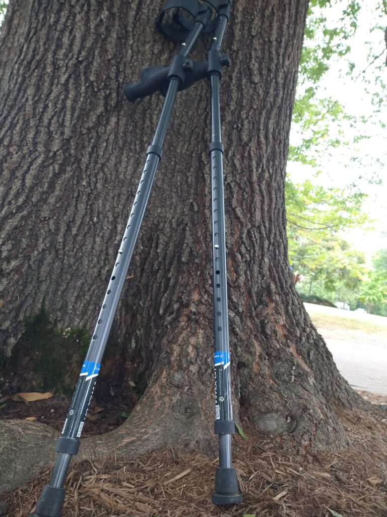 Two black forearm crutches are leaned against the trunk of a tree. The photo is taken looking up from the bottom of the crutches so that the crutches fill the image's height.